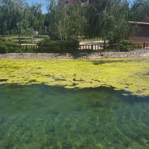 Ciudadanos (C’s) Fuenlabrada alerta sobre el estado del Parque de los Derechos Humanos